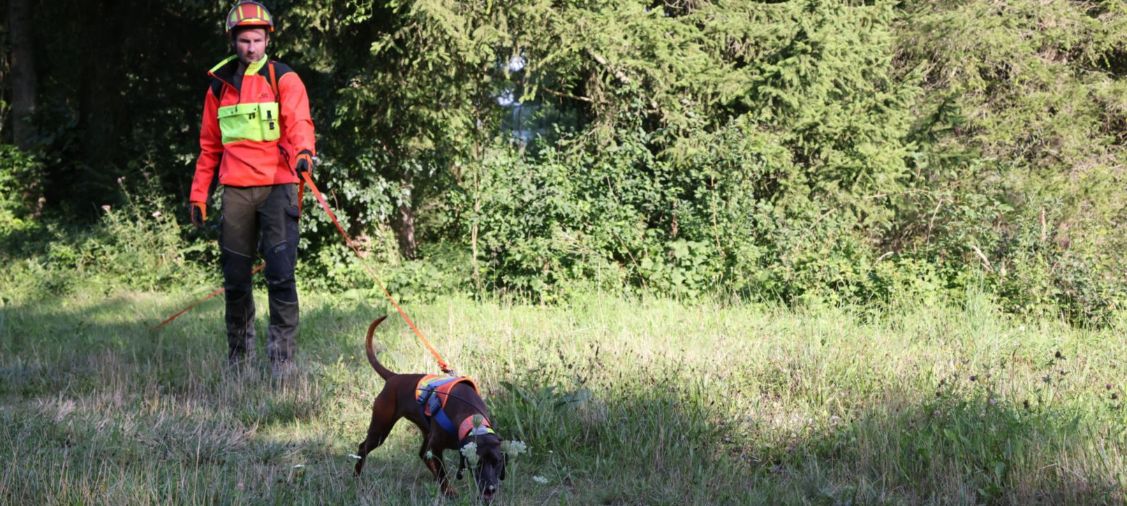 Gespann der Nachsuchenstation Isarland bei der Nachsuche Gespann der Nachsuchenstation Isarland e.V. bei der Nachsuche