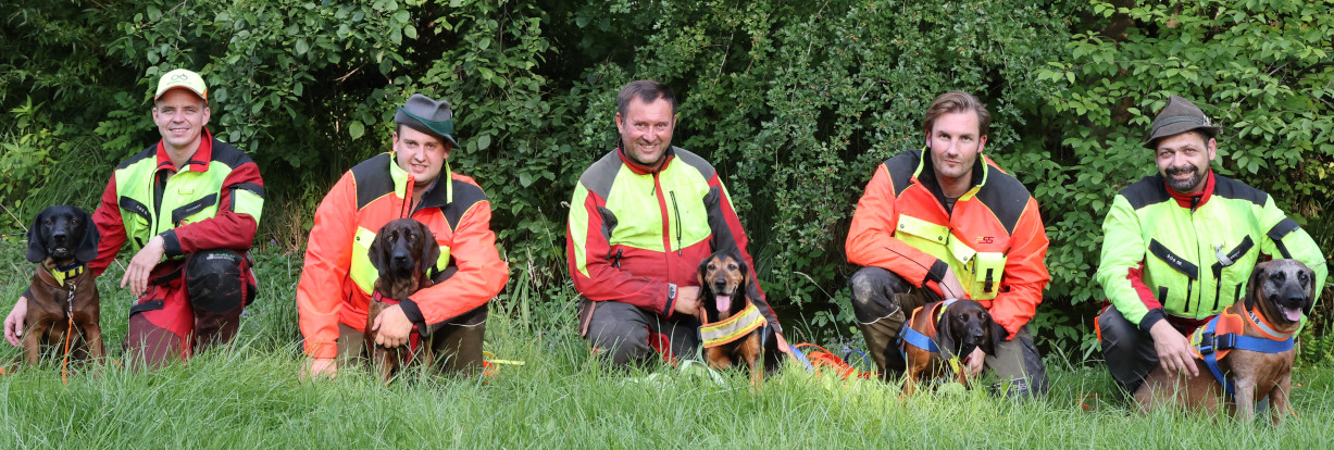 Gruppenbild mit Hunden der Schweisshundestation Isarland e.V. Gruppenbild mit Hunden der Schweisshundestation Isarland e.V.